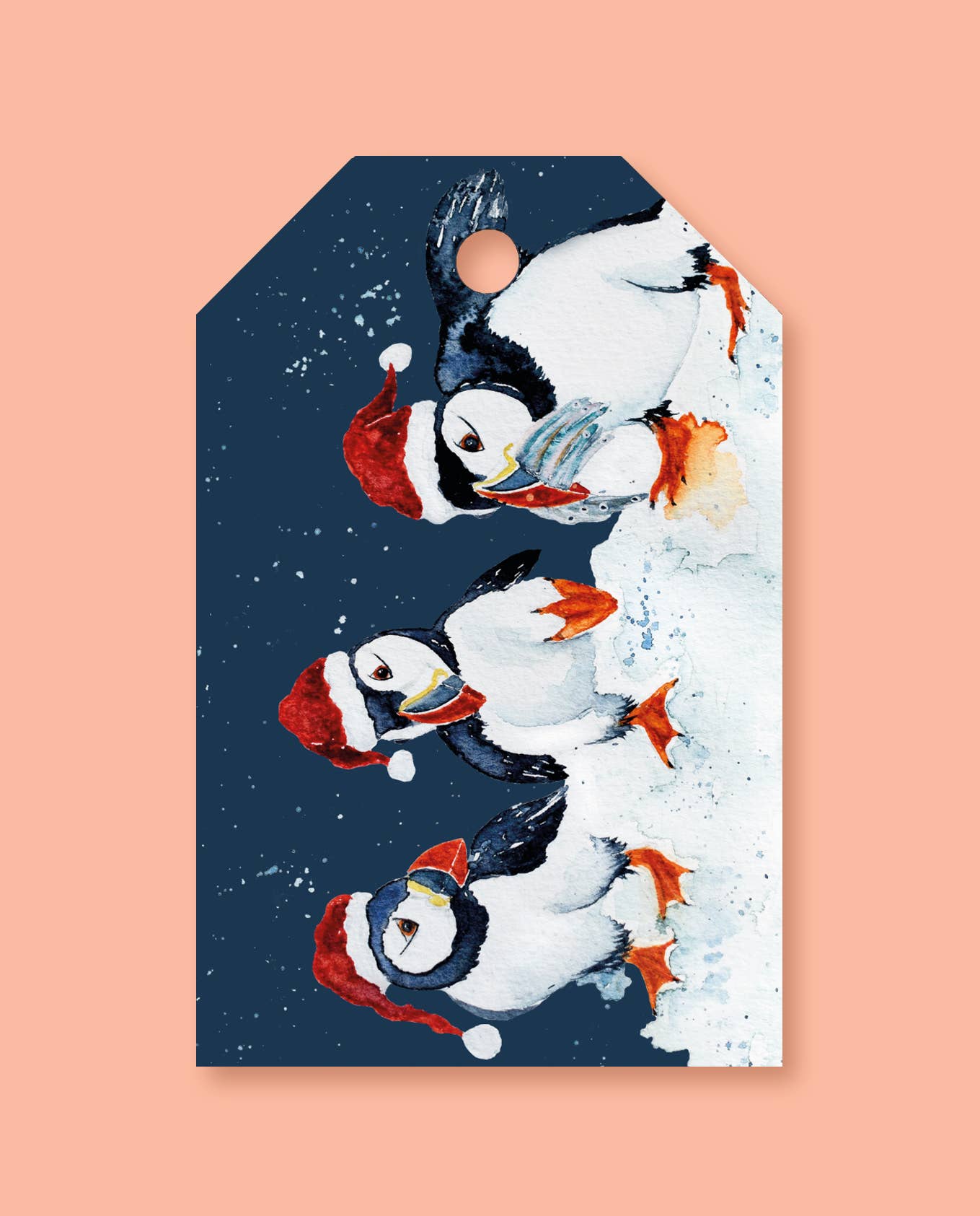 studio frewb - Wholesale Gift Tag - British Wildlife Christmas gift tags (6 tags per pack)7