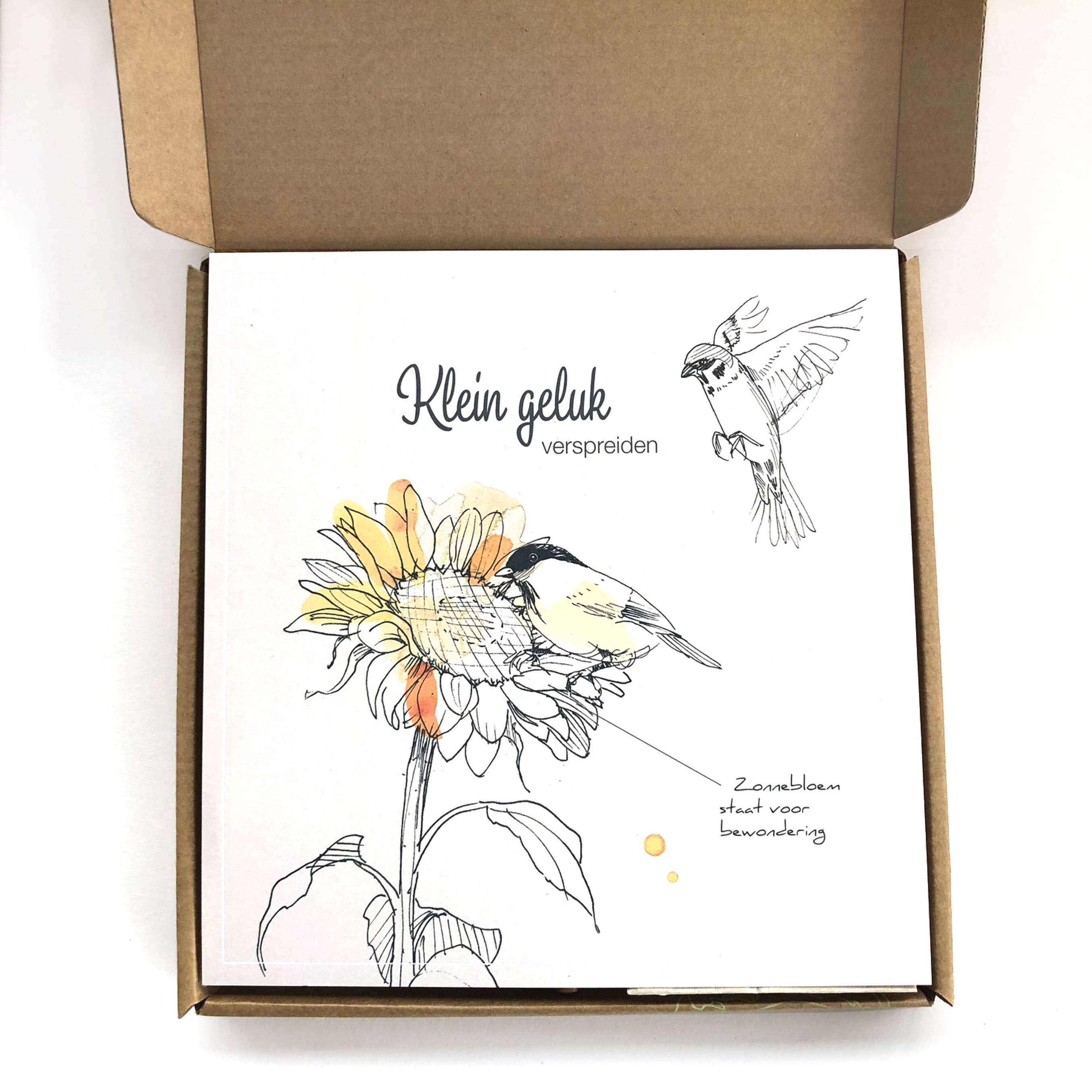 Veer&Moon - Wholesale DIY Craft Kit - Vogel cadeau doosje 'Klein Geluk'1