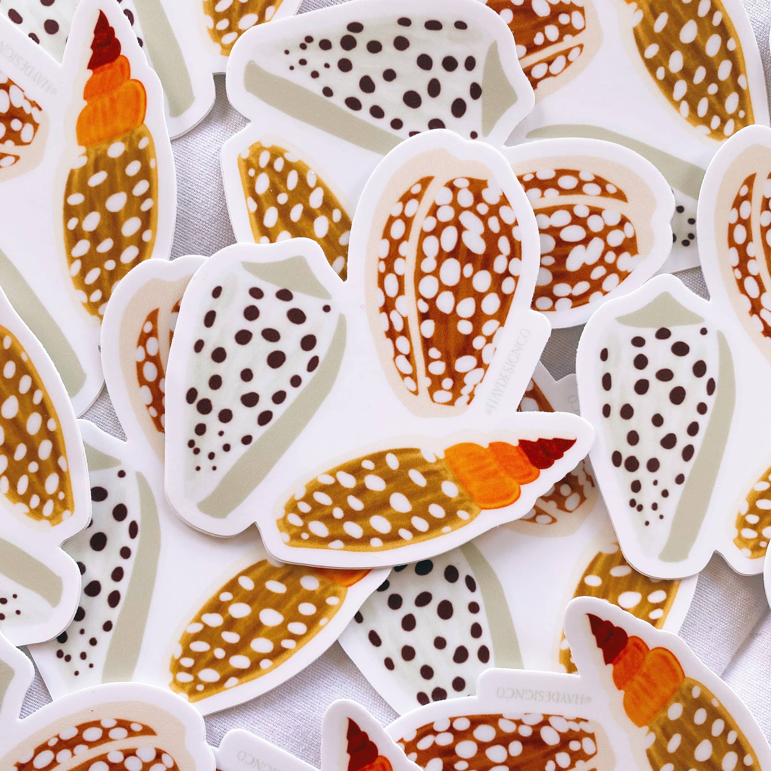 Hay Design Co. - Wholesale Sticker - Cowrie Shell Sticker3