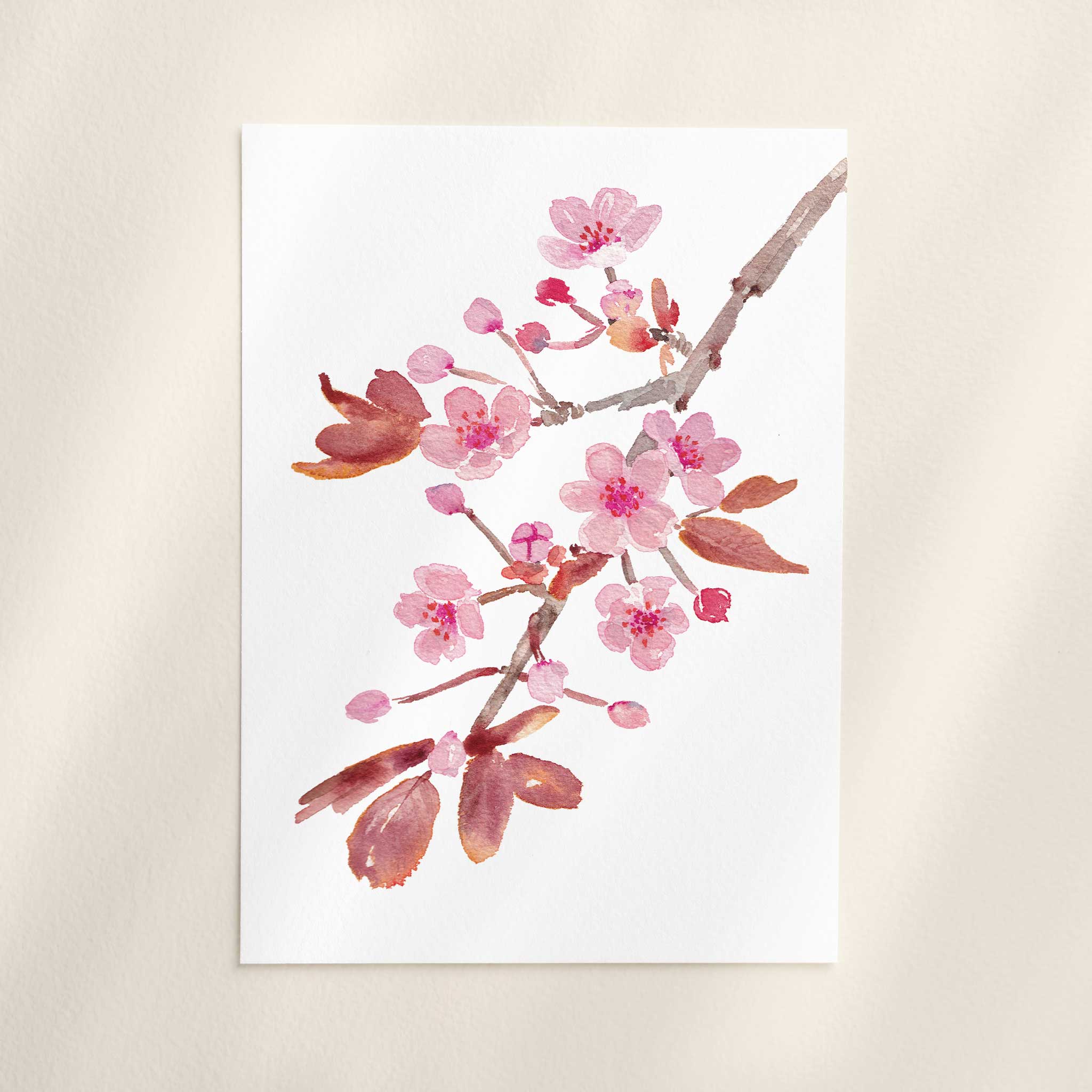 Jenny Vellacott - Wholesale Art Print - Floral Print of Cherry Blossom Print Spring Floral Print3