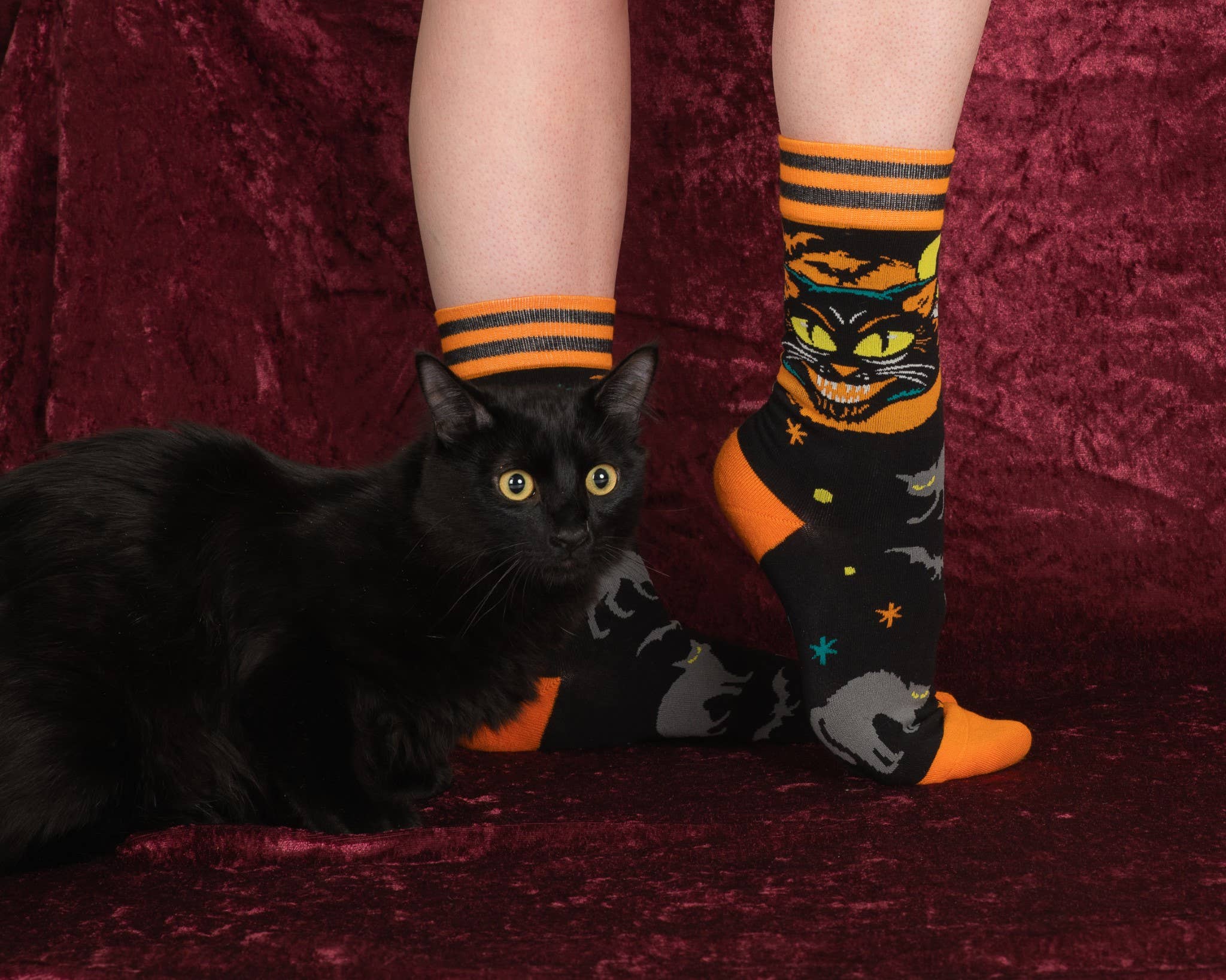 FootClothes LLC - Vente Chaussettes – unisexe - Chaussettes montantes vintage avec chat noir4