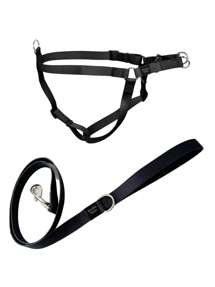 Obsidian Harness Walk Set for wholesale by Studio Tails