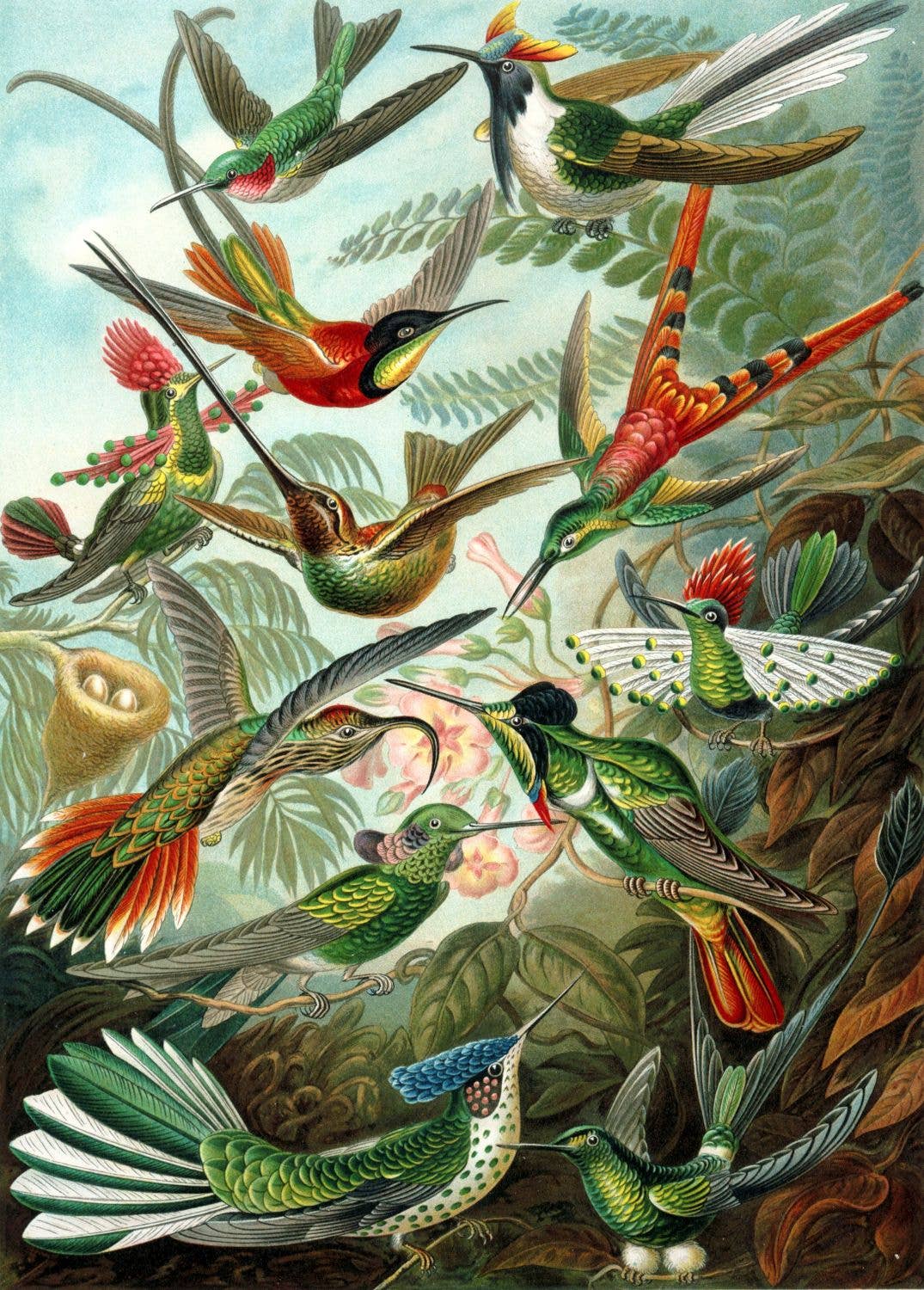 Tropical Jungle Green Wall Mural Birds for wholesale on Faire3