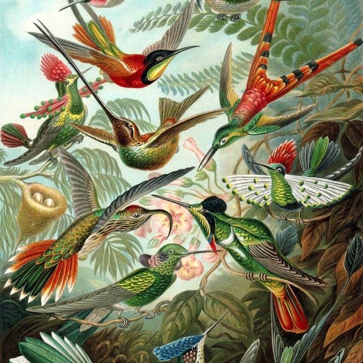 Tropical Jungle Green Wall Mural Birds for wholesale on Faire3