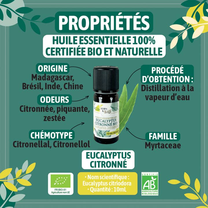 Les Laboratoires Bio Seasons - Vente Huile essentielle - HUILE ESSENTIELLE EUCALYPTUS CITRONNE BIO 10 ML6