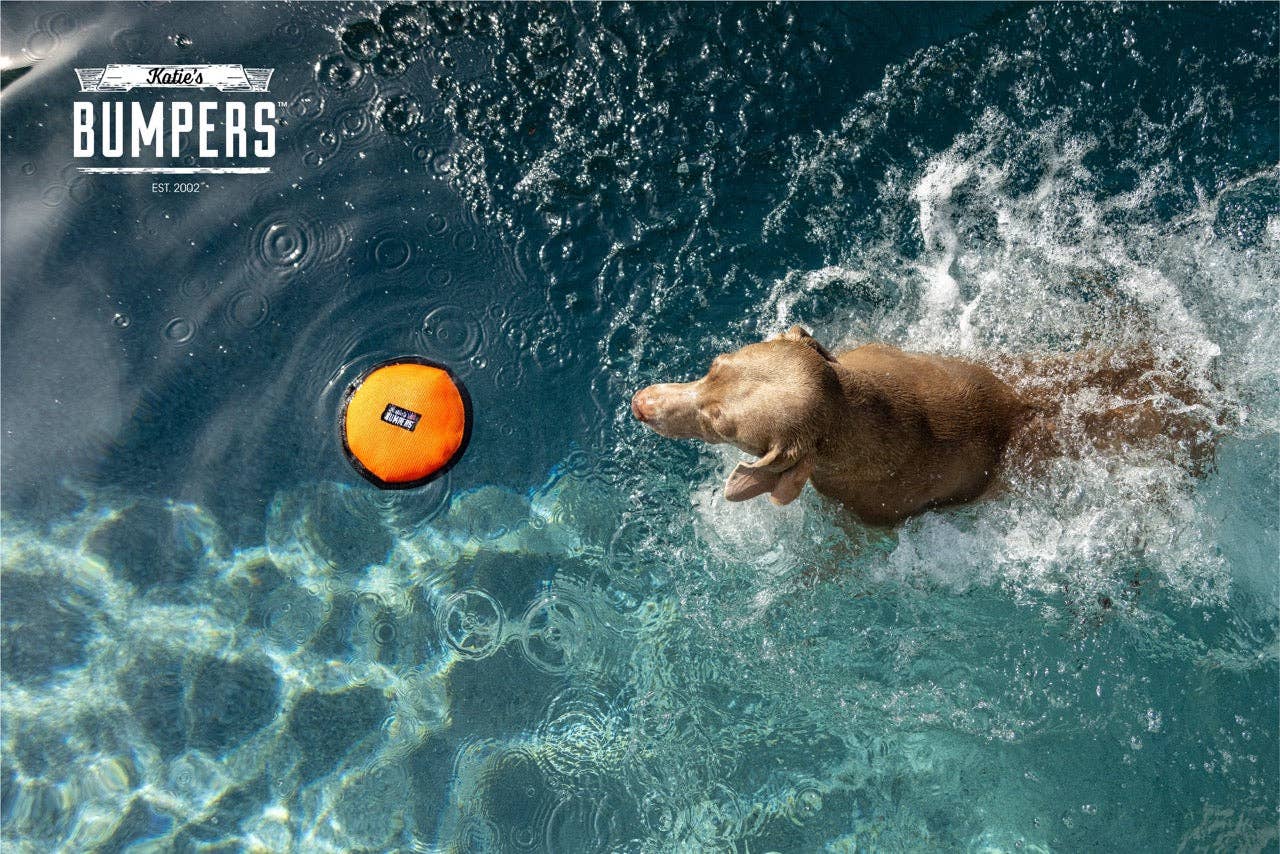 Katie's Bumpers - Wholesale Pet Fetch Ball - Dog - NEW!! KB Frequent Flyer Floater7