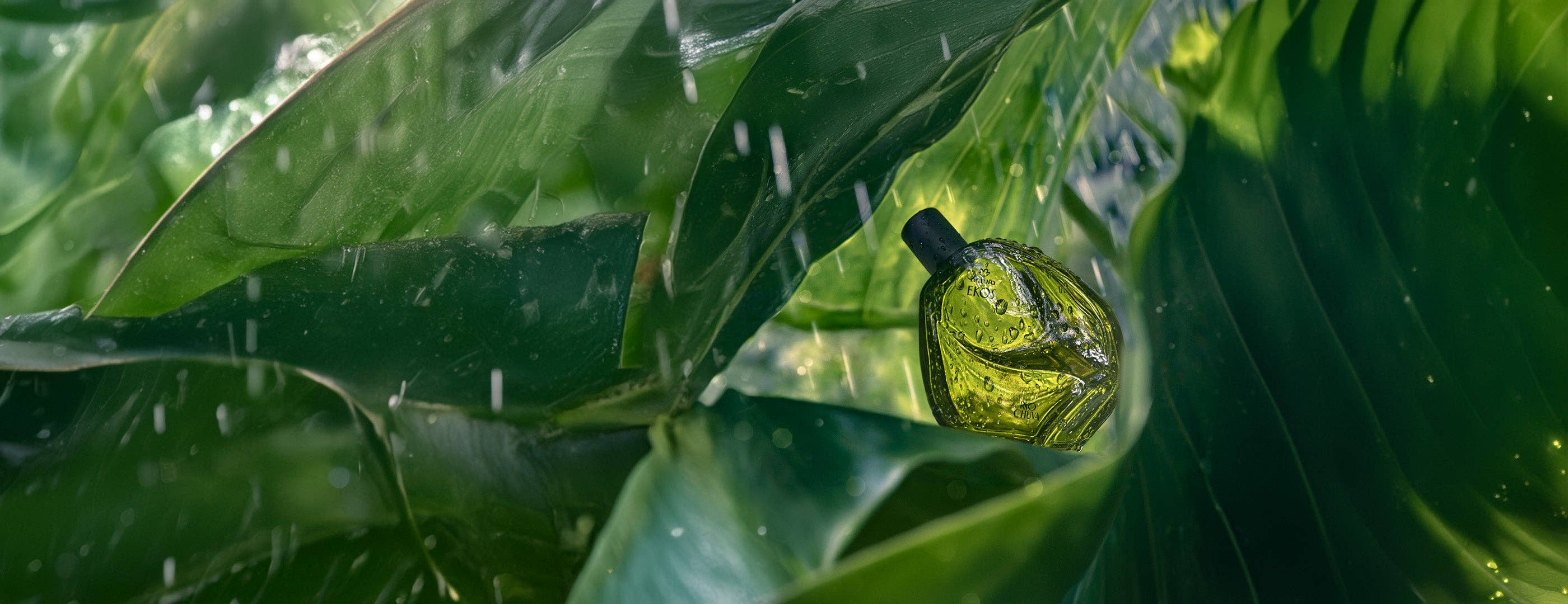 Natura Brazil - Wholesale Perfume/Eau de Toilette - Ekos Ryo Chuva Eau de Toilette1