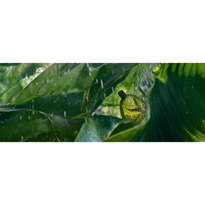 Natura Brazil - Wholesale Perfume/Eau de Toilette - Ekos Ryo Chuva Eau de Toilette1