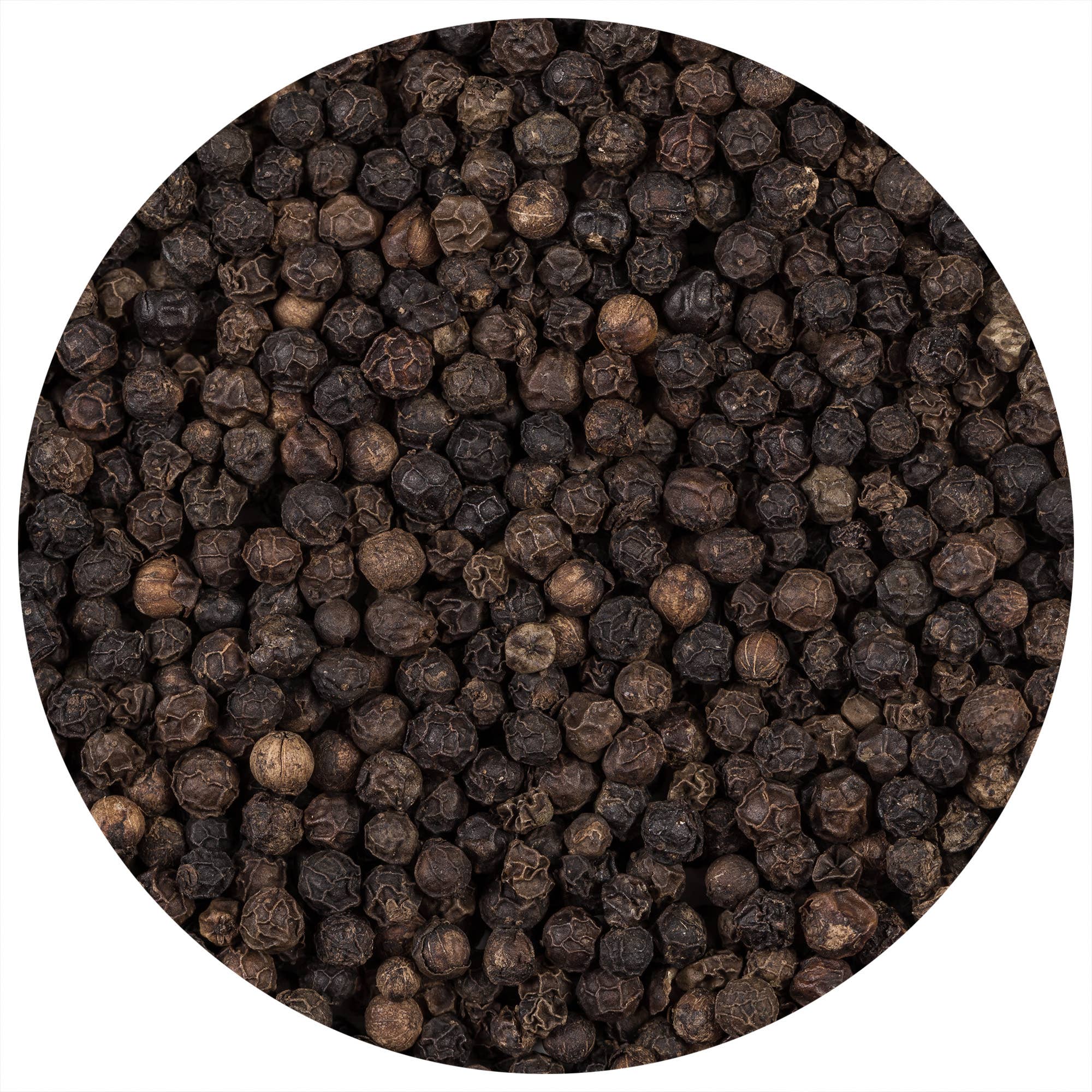 THE SPICE LAB - Wholesale Pepper/Peppercorns - Premium Tellicherry Peppercorns - Case of 6 - 18 oz Kilo Jar1