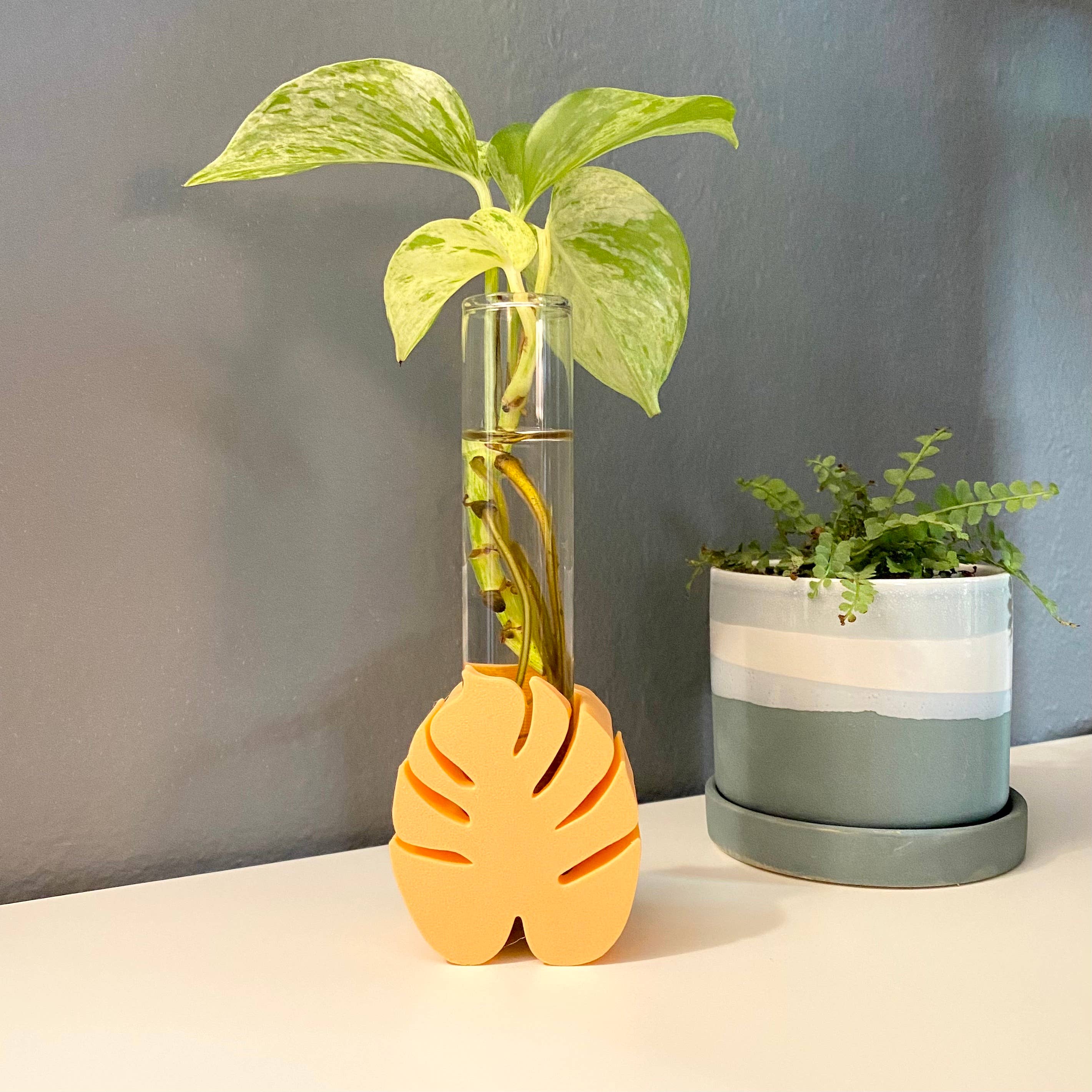 Plant Voyage – Vaso de plantas por atacado – Suporte para Propagação de Monstera Impresso em 3D pela Plant Voyage8