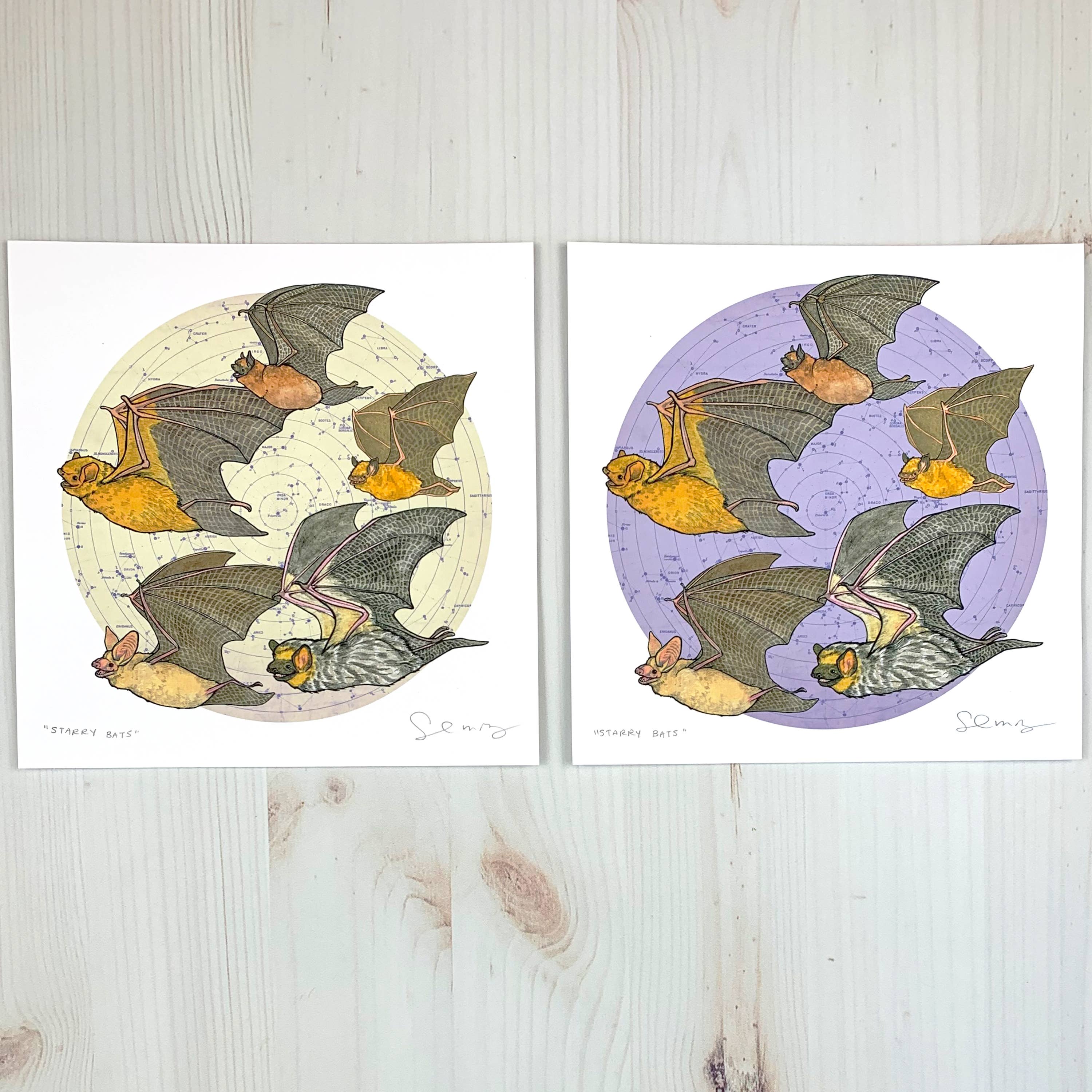 Sarah Draws Things - Wholesale Art Print - Starry Bats - North American Native Bats - Archival Print3