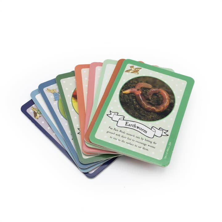 Robert Frederick Ltd - Wholesale Toy set – Kids - Peter Rabbit Bug Spotter Activity Set1