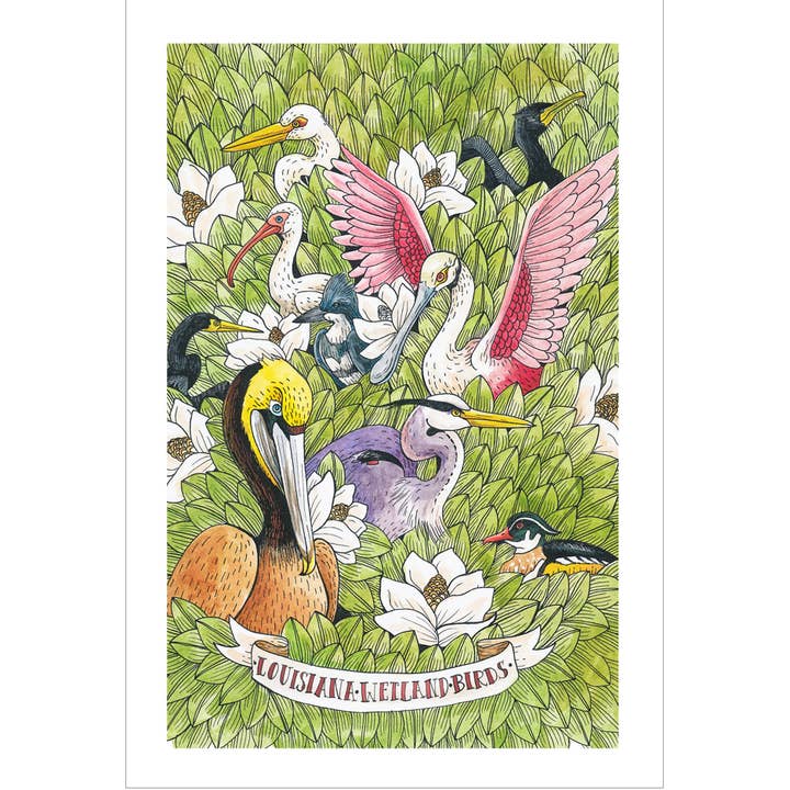 Louisiana Wetland Birds Postcard for wholesale by Mattea