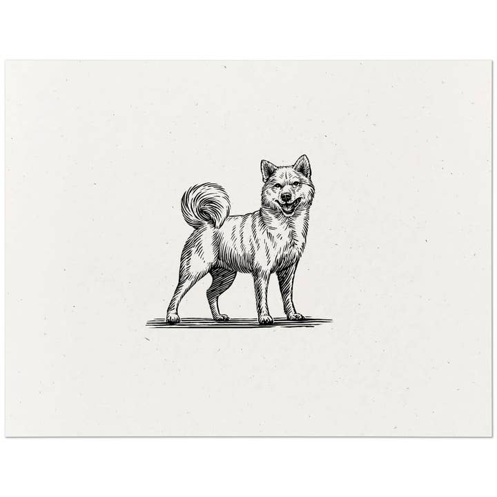 Shiba Inu Dog Art Print for wholesale by Dog Gone Studios