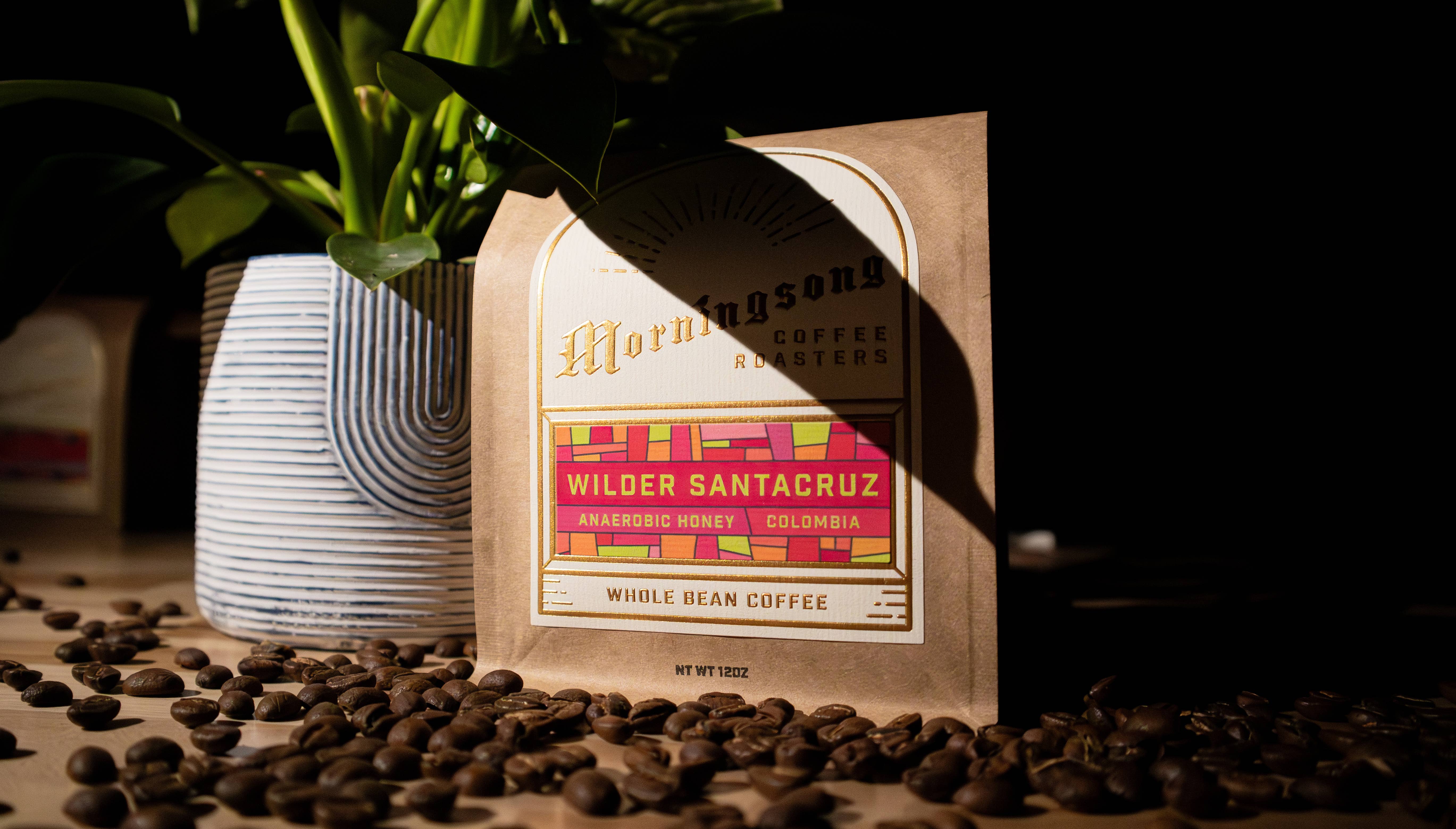 Morningsong Coffee Roasters - Wholesale Coffee beans - Wilder Santacruz2