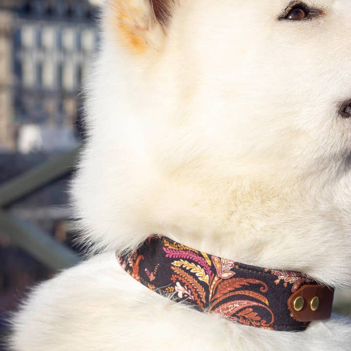 Atelier Markiz - Wholesale Pet Collar - Dog - Kashmir Necklace2