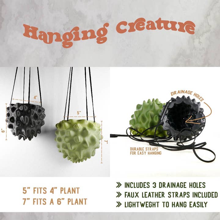 Rosebud Homegoods - Wholesale Hanging Planter - Hanging Planter, Indoor 5 or 8 inch Pots, Maximalist Decor2