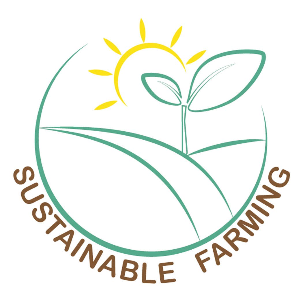 Beaming Baby - Wholesale Diaper (Non-Cloth) - Baby - Organic Bamboo Maxi Nappies - 7-11kg, 26 pcs/bag (size 3)10