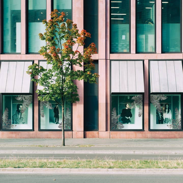 Green Tropic Leaves Window Decals for wholesale on Faire5