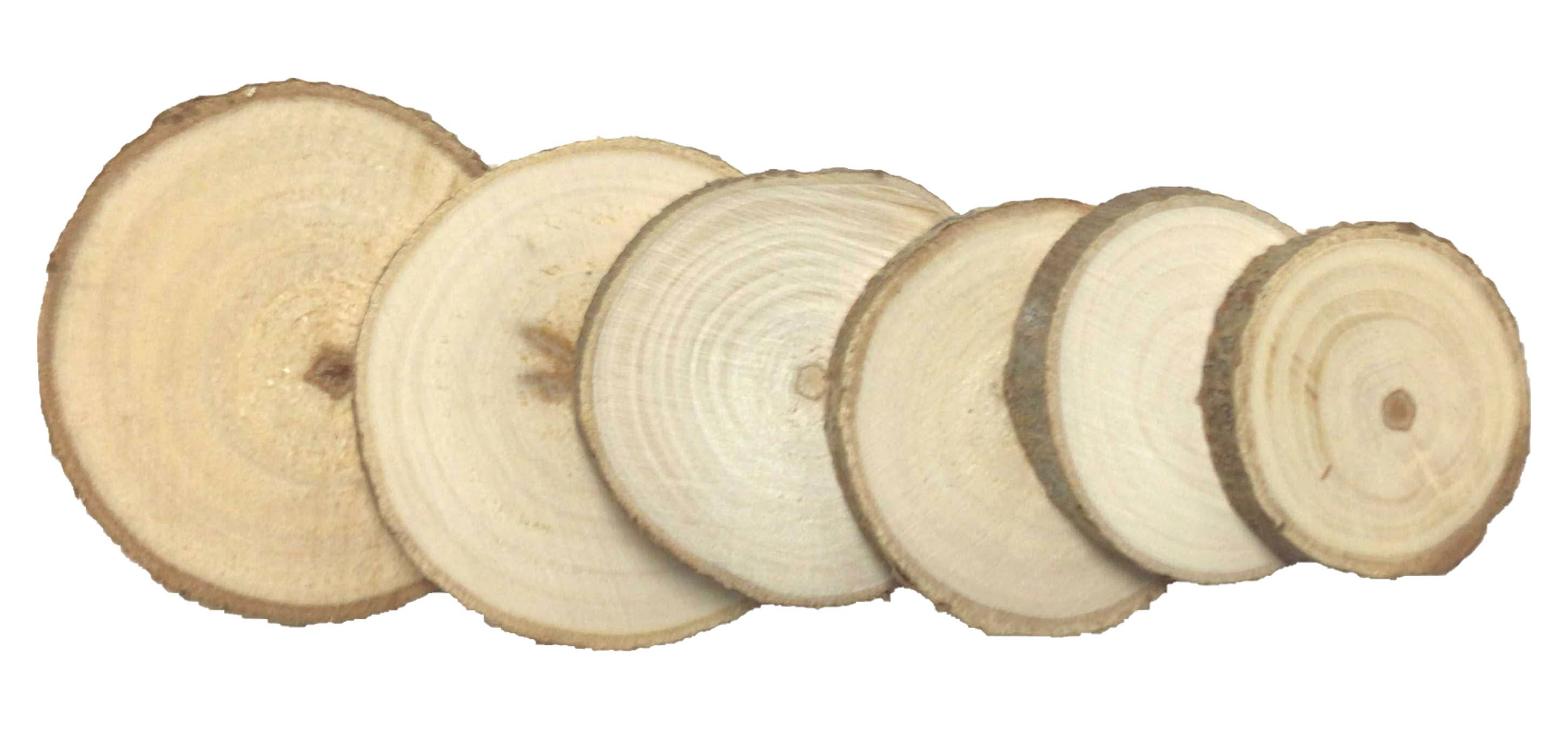 Angels Craft - Wholesale Cutouts - Mini Wood Slices, 6-ct1