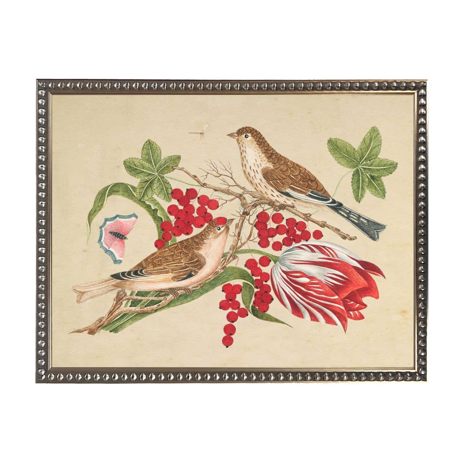 Antique Curiosities Inc - Vendita all'ingrosso Stampa artistica - Ex libris G con uccelli su sfondo invecchiato0