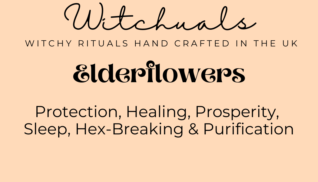 Witchuals - Rituals & Spellwork Apothecary - Wholesale Meditation Supplies - Elderflowers2