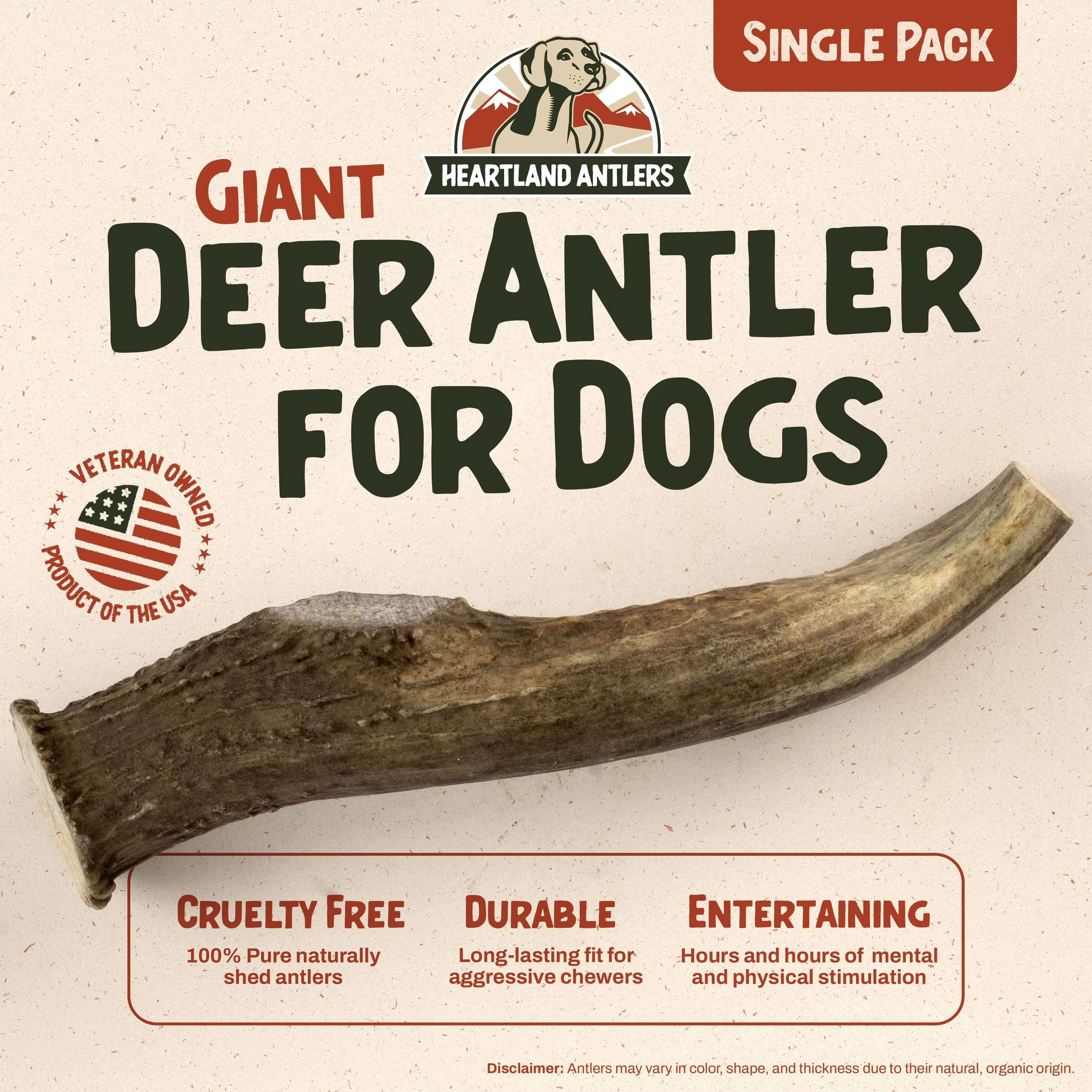 Heartland Antlers - Wholesale Pet Chew Toy - Dog - Deer Antler Chew - Giant (85+ lbs)1