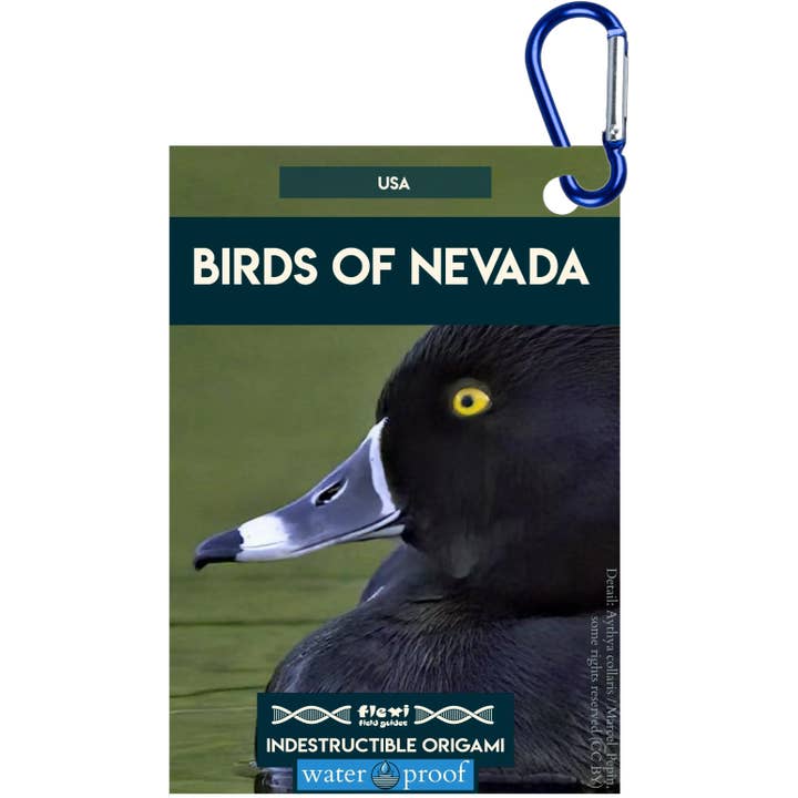 Oiseaux du Nevada-Origami indestructible pour la vente par Flexi Field Guides