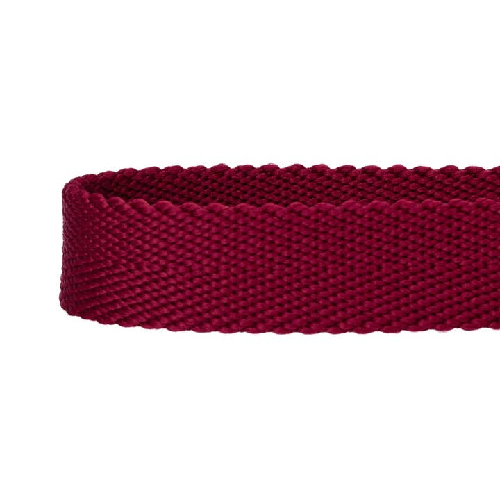 Blueberry Pet - Wholesale Pet collar – Dog - Best-Seller Double D-Ring Dog Collar -Must-Have for All Dogs13