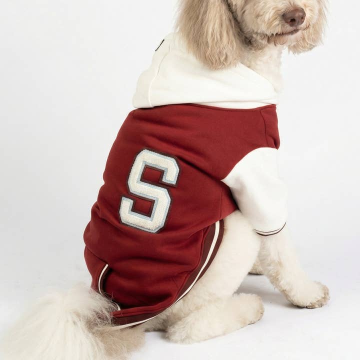 Blouson Letterman pour chien Otis Bomber inspiré du style universitaire avec capuche et accès pour laisse pour la vente par Silver Paw