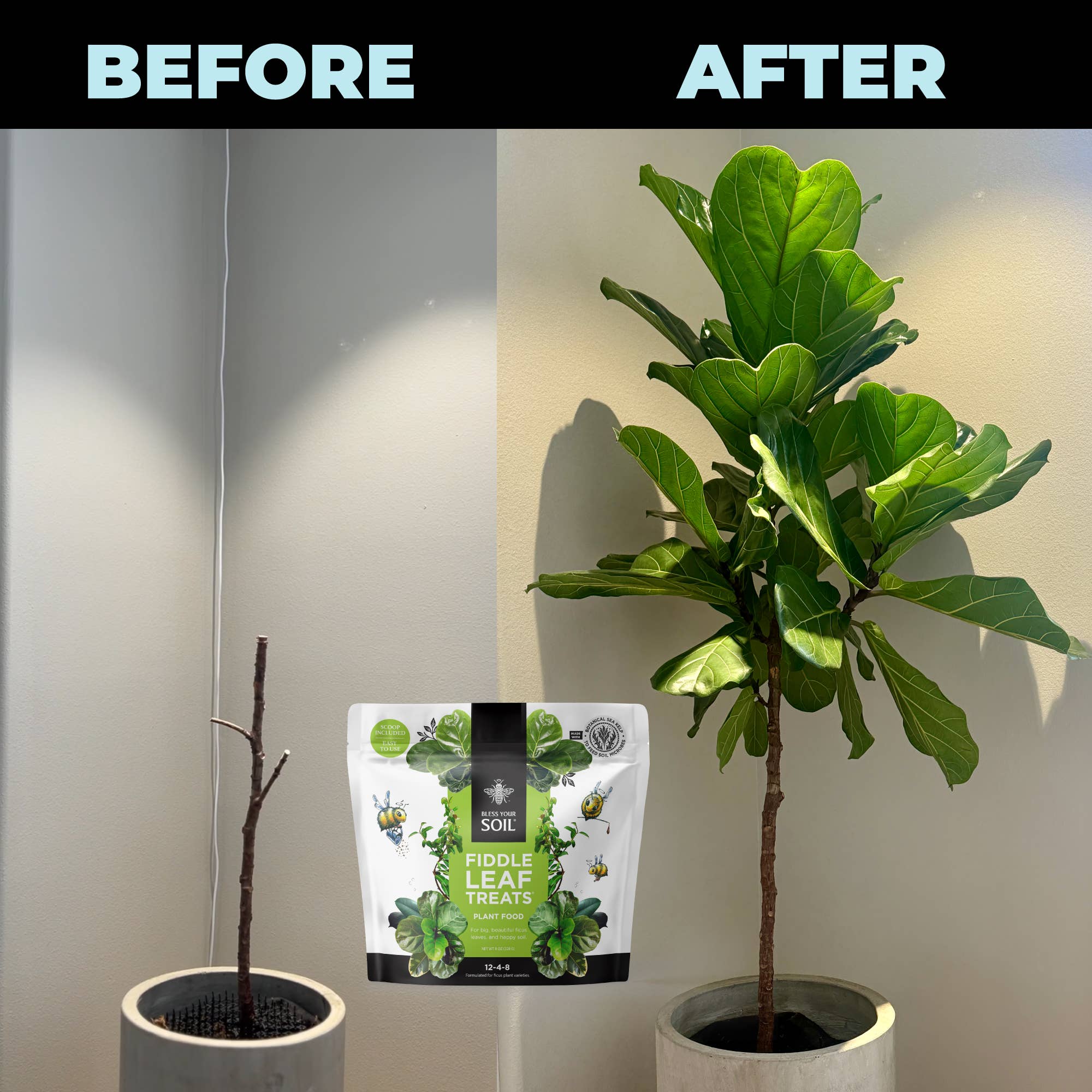 Bless Your Soil - Wholesale Fertilizer - Fiddle Leaf Treats®8