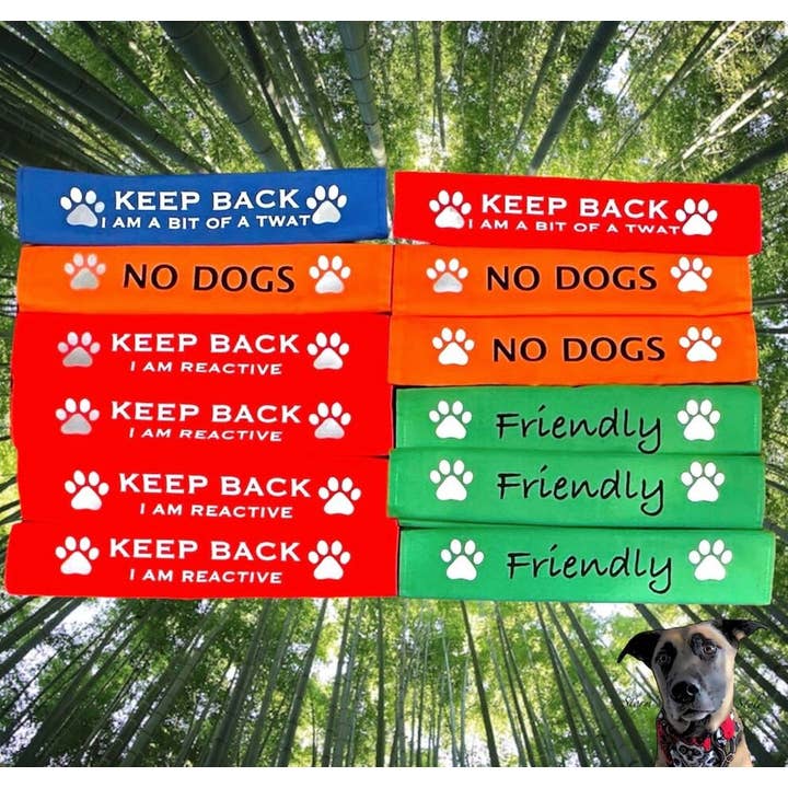 Storms Style - Wholesale Pet Leash - Dog - Lead Slips - Reactive, Nervous, Blind, Deaf, Friendly
