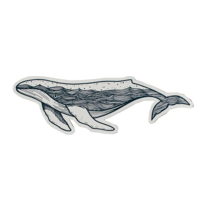 Humpback Whale Sticker for wholesale by Red Umbrella Designs