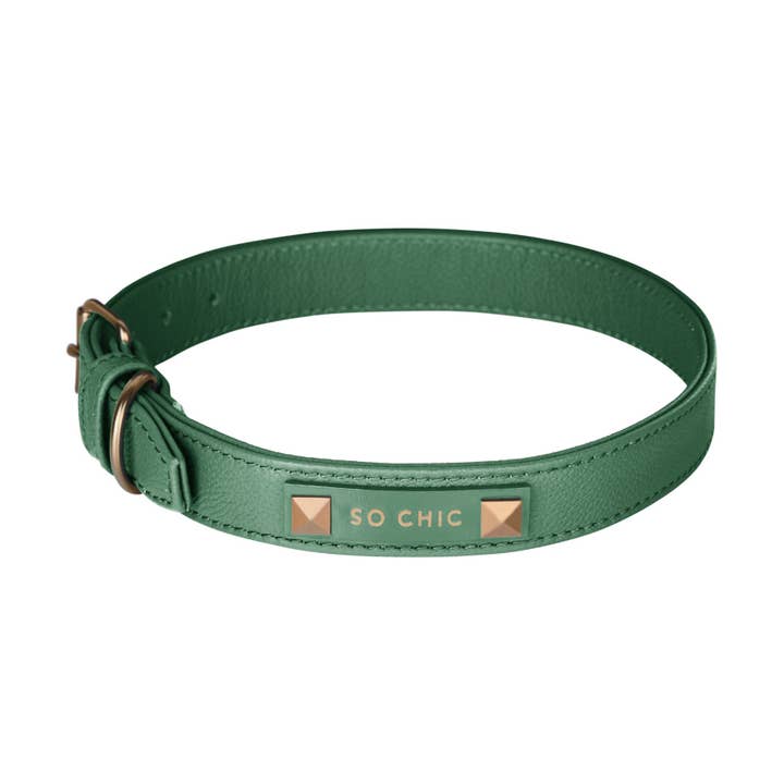 Dog collar - Forest Green 💚 for wholesale by Pet So Chic