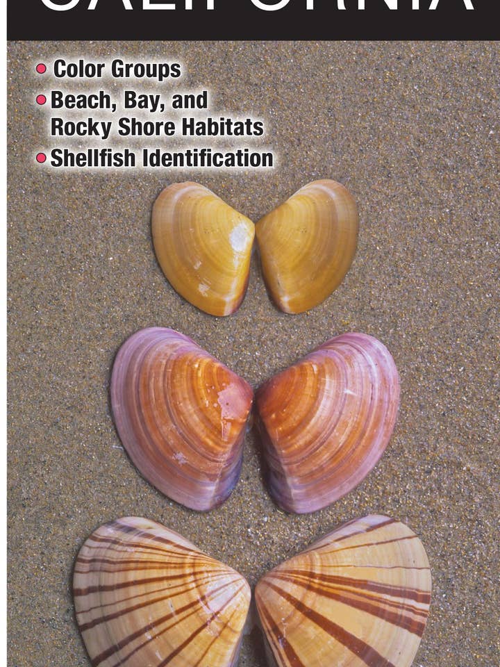 La vie au bord de la mer en Californie pour la vente par Quick Reference Publishing, Inc