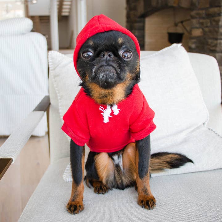 Parker & Co. - Wholesale Pet Hoodie - Dog - Blank Dog Hoodie2