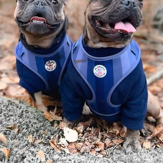 Navy Waterafstotend hondenfleece voor wholesale door Bella Katee Pets