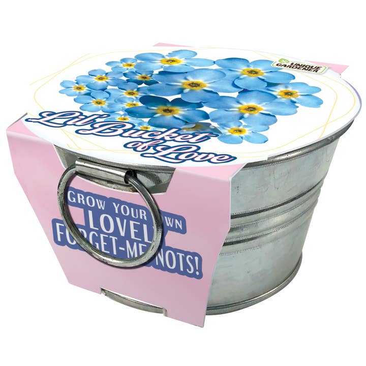 Silver Circle Products - Wholesale Plant Seeds - Lil' Bucket of Love - Grow Your Own Forget-Me-Nots4