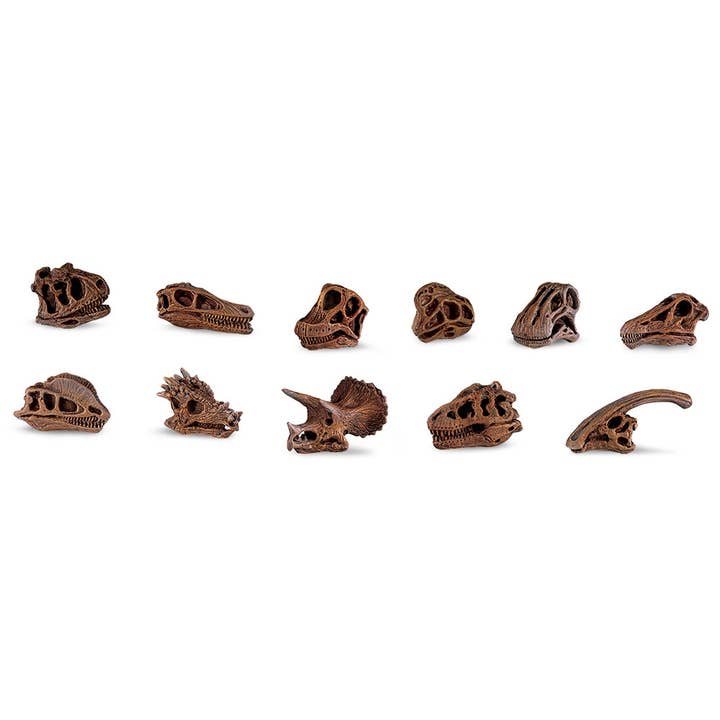 Safari Ltd. - Wholesale Figurine Toy - Kids - Dino Skulls Bulk Bag - 765504