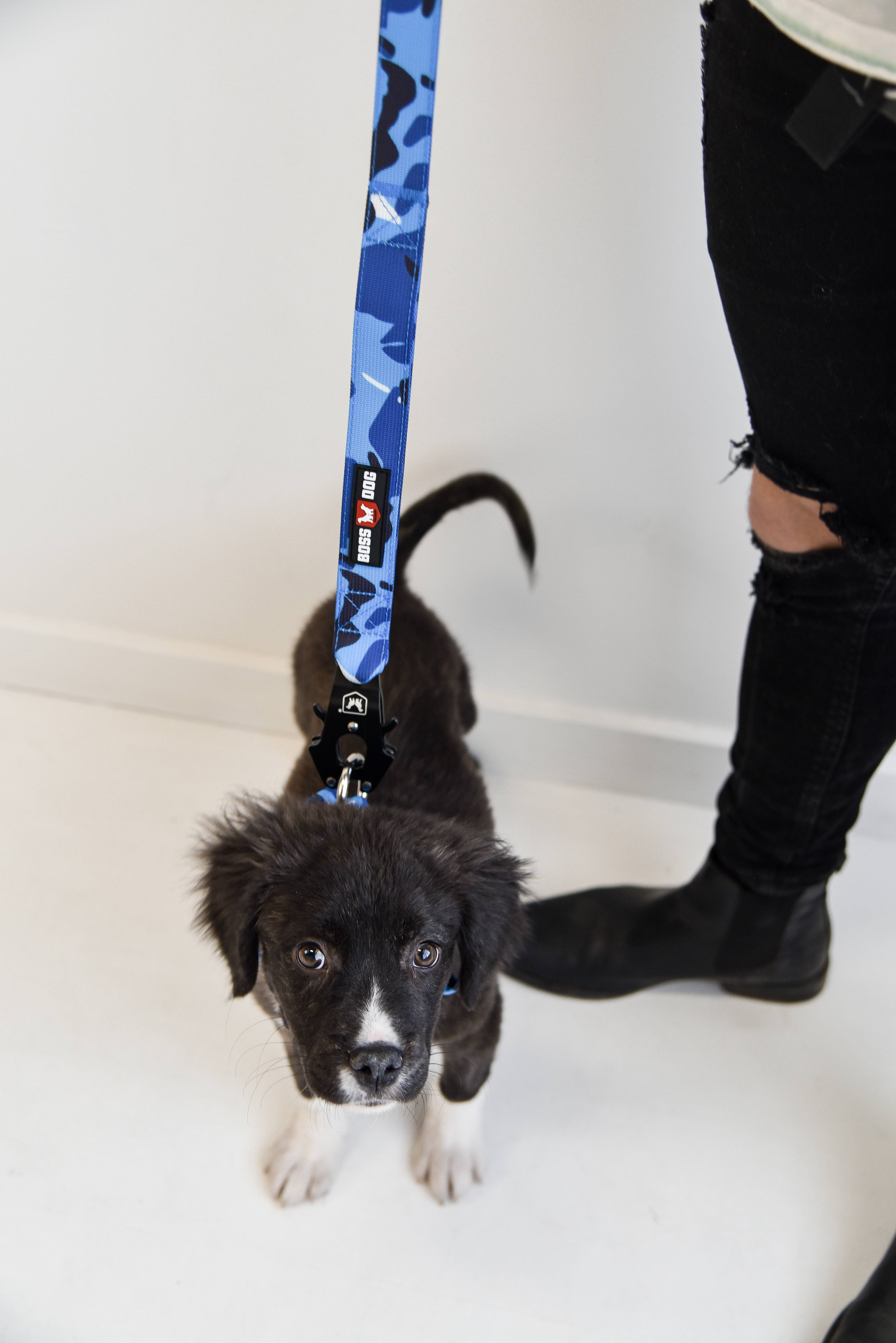 BOSS DOG BRAND, INC. - Wholesale Pet Leash - Dog - Boss Dog 4FT Unbreakable Leash10