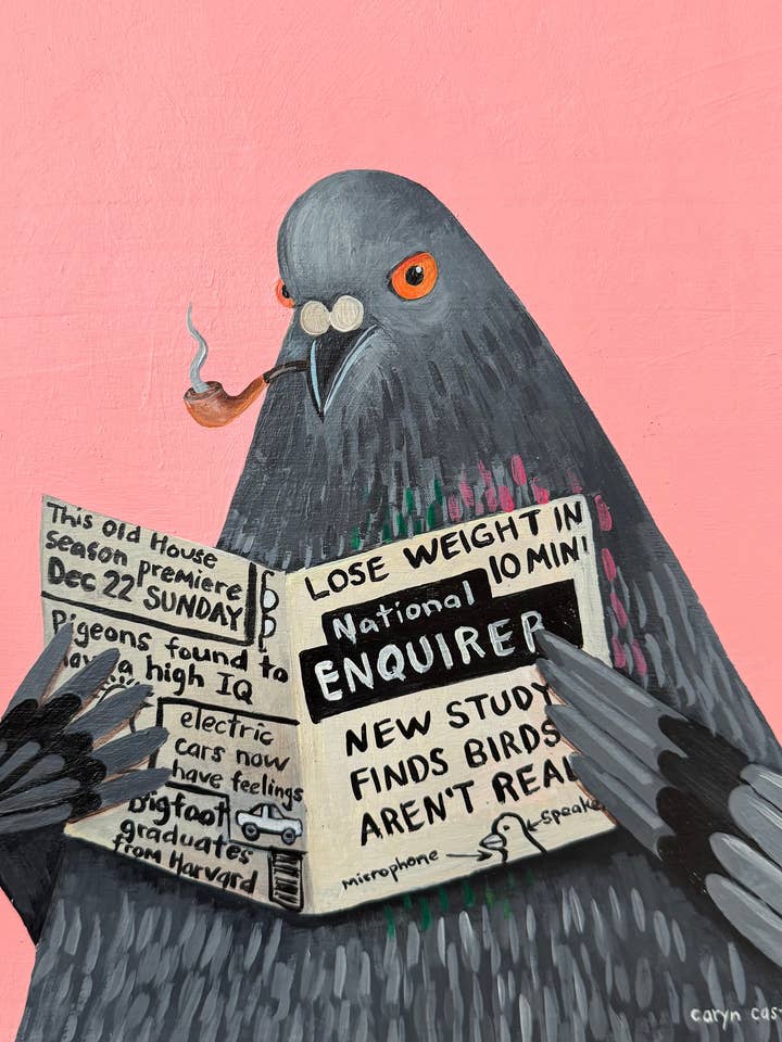 Set de postales de palomas para venta al por mayor de Caryn Cast Art