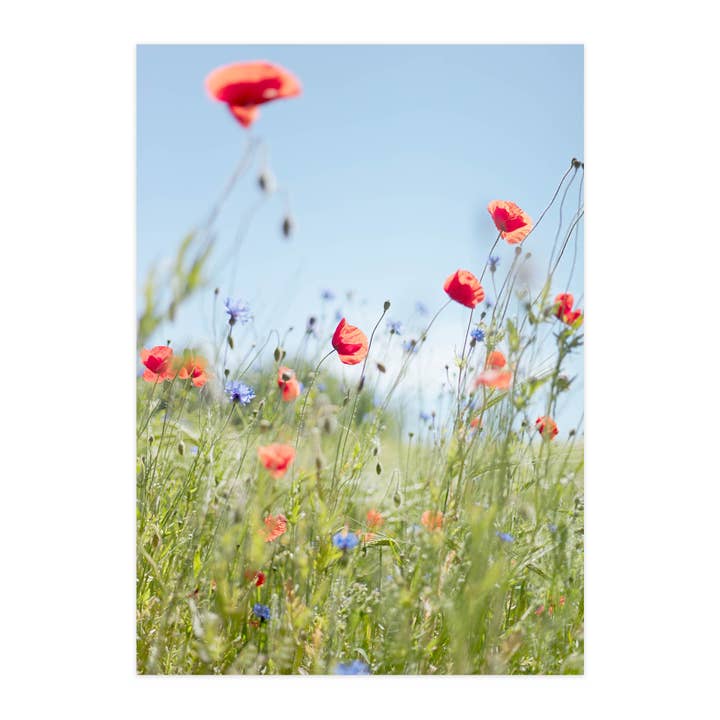 Carte postale "Joie au bord du champ" pour la vente par paruspaper. nutzfeine papeterie