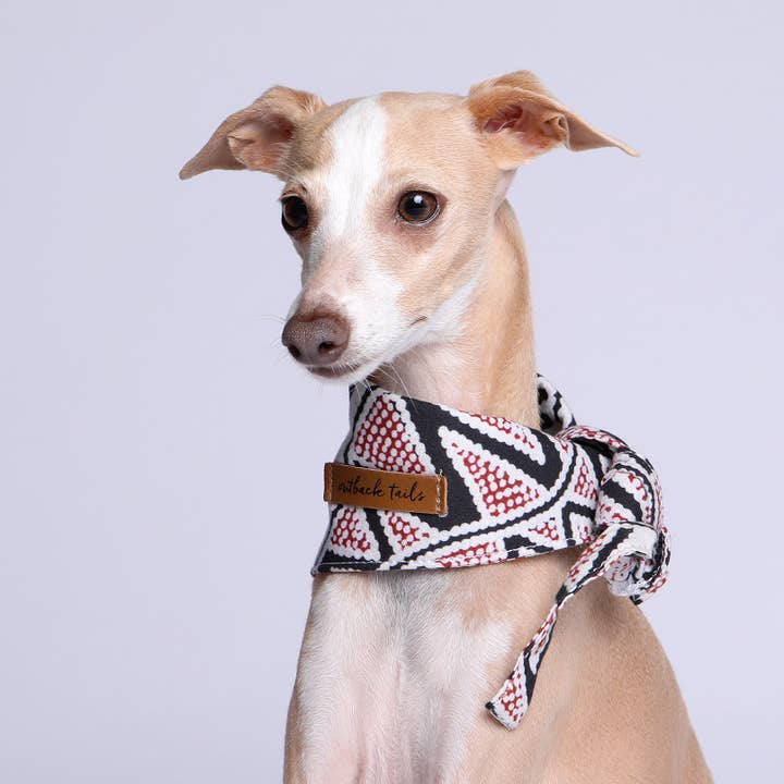 Outback Tails - Wholesale Pet bandana – Dog - Dog Bandana - Sand Dunes6