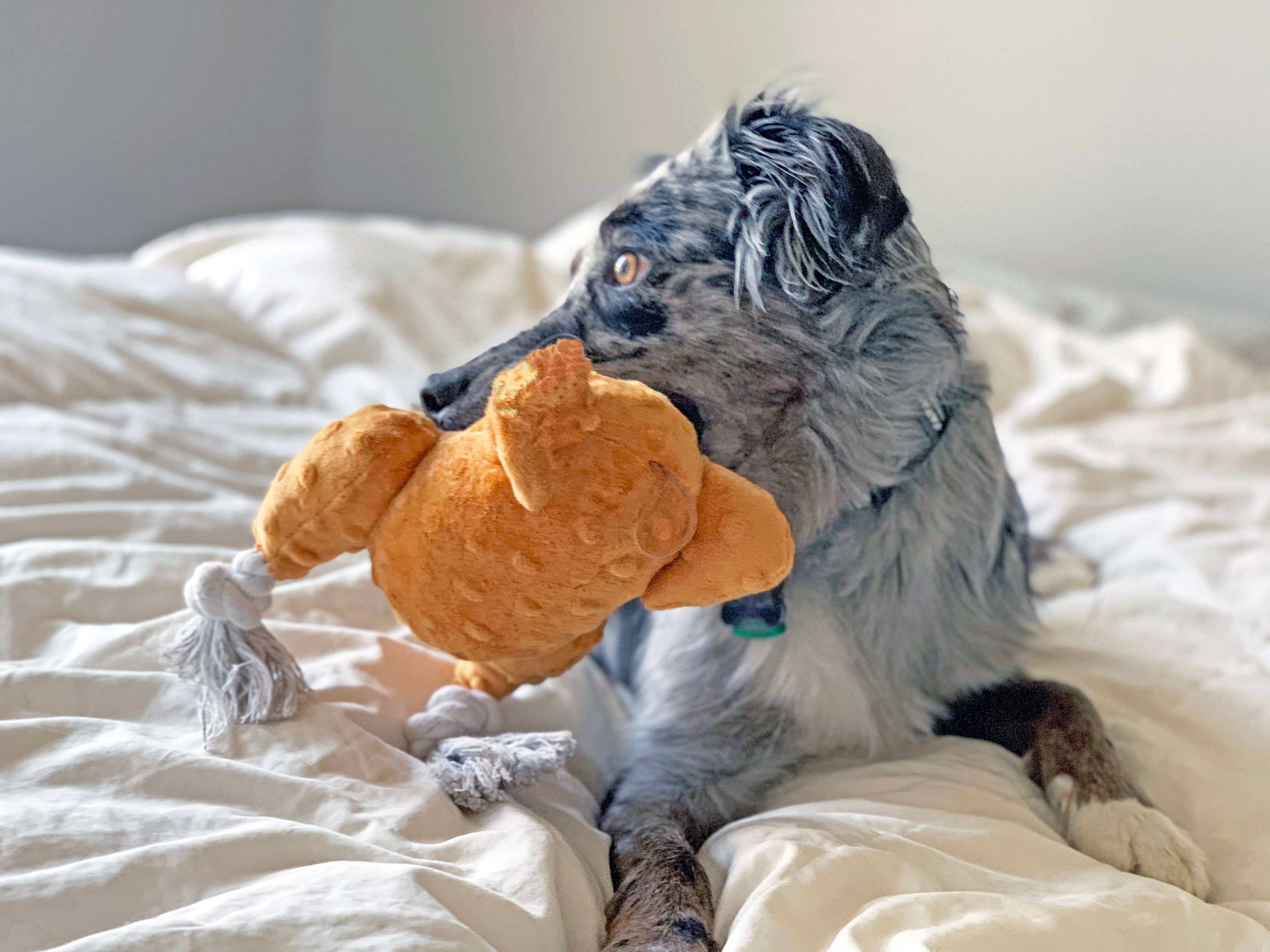 STEELDOG USA LLC - Wholesale Pet Plush Toy - Dog - Turkey4