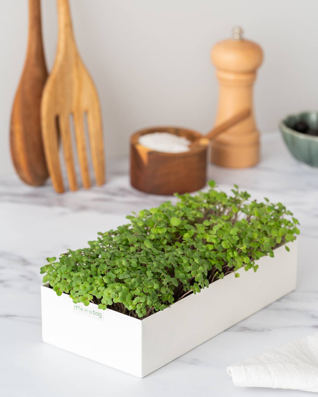 Life in a bag - Vendita all'ingrosso Semi di piante - Duo di microgreens crescione e rucola1