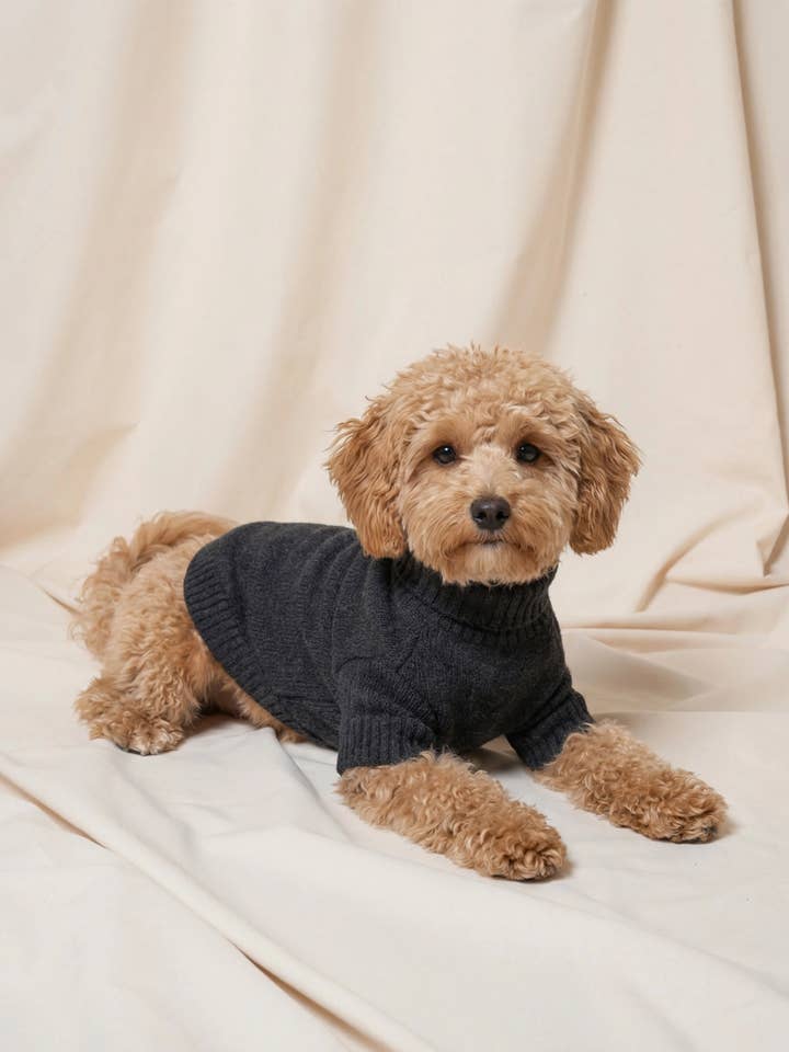 HONDENTRUI VAN KASJMIER ANTRACIET voor wholesale door bobbin & tricot