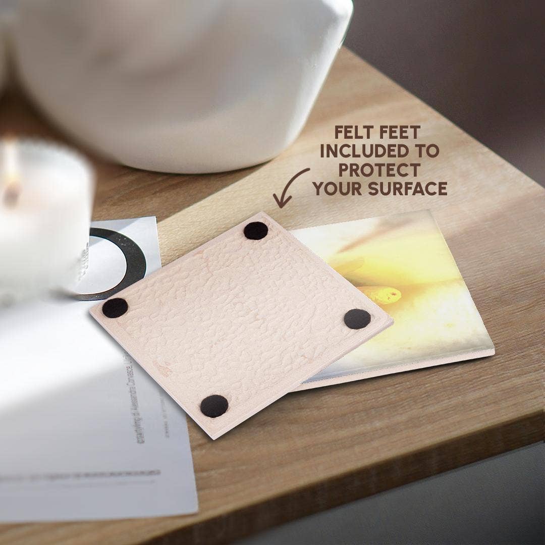 3dRose - Wholesale Onderzetters - 3dRose, Crème Witte Calla Lelie Close-up Abstracte Kunst, Onderzetter3