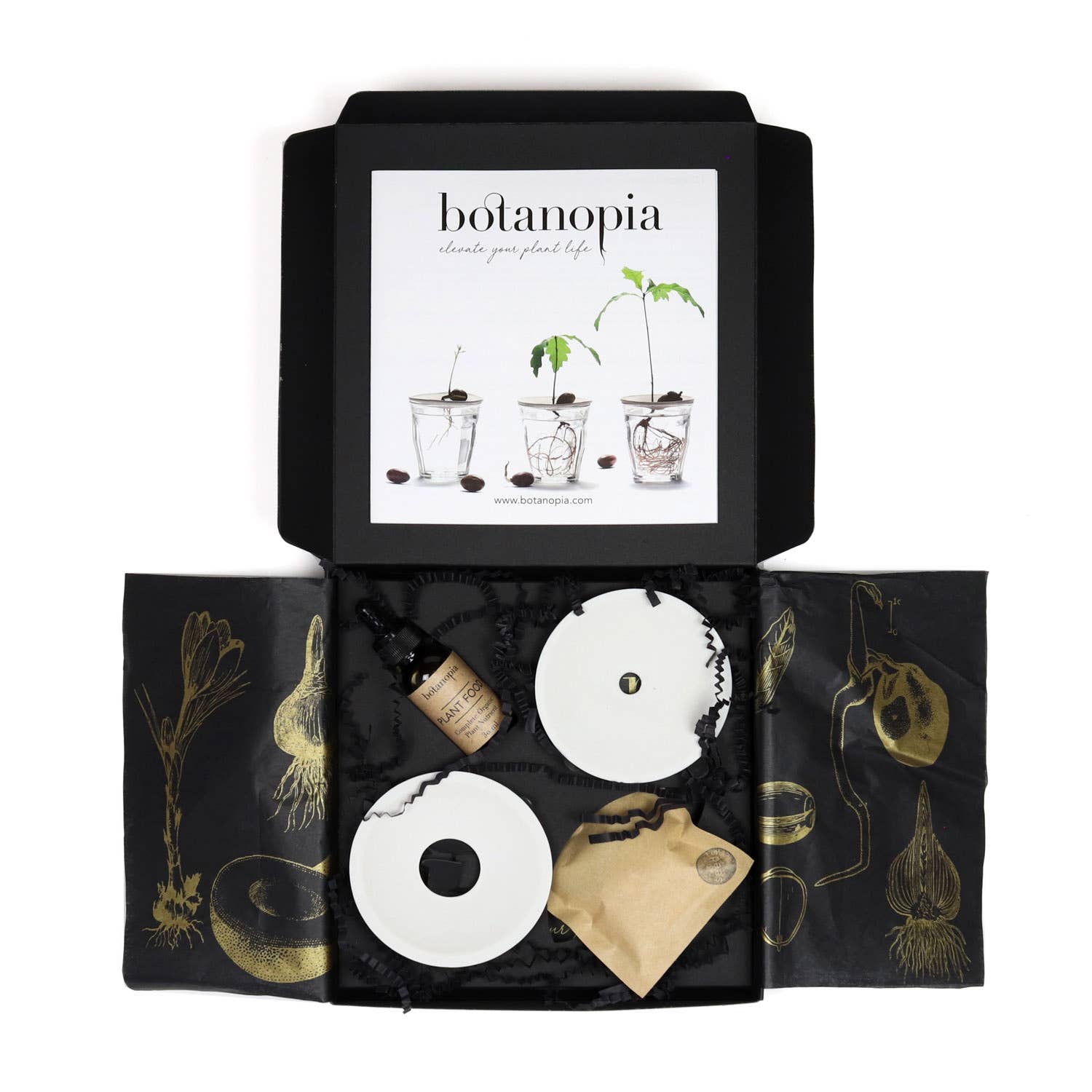Botanopia - gifts , decor and cards for plant lovers - Wholesale Zaadjes voor platten - Deluxe Cadeauset – Kiemen en Kweken op water13