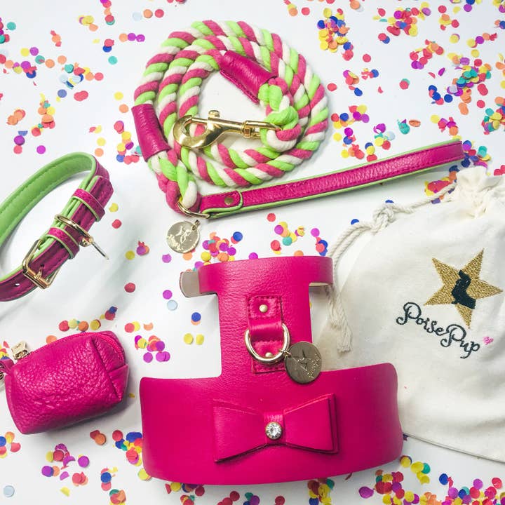 PoisePup - Vente Harnais – chien - HARNAIS - CANDY SWIRL3