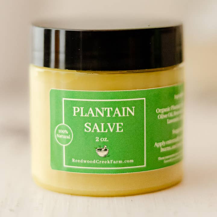 Reedwood Naturals - Wholesale Healing Salve/Balm/Cream - Plantain Salve